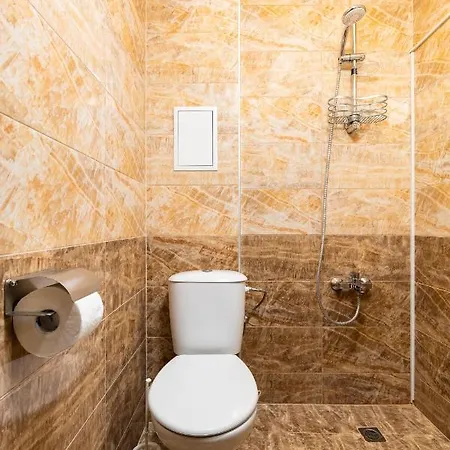 1bd Flat Near The Center Of Apartment